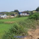 신안천사공인중개사사무소 이미지