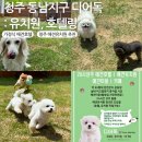 (주)원봉 | 청주 동남지구 디어독 : 애견카페 애견유치원 24시간 상주 가정식 애견호텔 후기