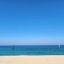 정동진역 이미지