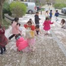 홍익늘푸른어린이집 이미지