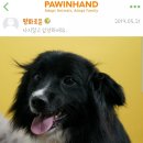 막뚱이