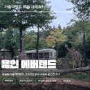 K랜드 | 아이들 난리 난 K-POP 불꽃쇼! ✨ 에버랜드 오후권으로 가을밤 불태운 두 가족 후기! ( 비밀의 꿀팁 포함 )