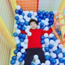 보아유치원 이미지