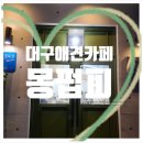 몽펍피 이미지