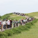 태안상회 이미지