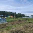 광산초 흘리분교장 이미지