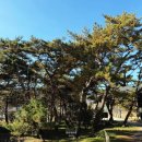 어진동_지방자치회관 | 거창 로컬 웰리스 리트릿 1일차 | 거창군X노는법 #거창여행 #신아로미