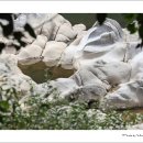 영월 무릉리 요선암 돌개구멍 이미지