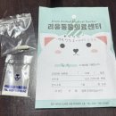 부천종합동물병원 | 고양이 스케일링 전 과정 총정리 (부천 리움동물병원 후기)