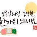 로이펫살롱 이미지