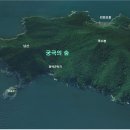 가덕도 동백군락지 티스토리