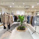 아일로청주