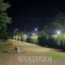 패밀리관광여행사(주) 투어코리아