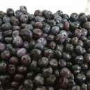 새동네농장 이미지