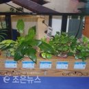 초읍중학교 이미지