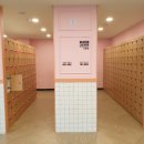 정글팡팡 - 1615 | 정글팡팡