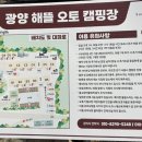 자미애견 네이버블로그