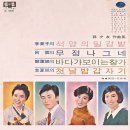 손석우 작곡집 [석양의 밀감밭 / 무정 나그네] (1969) 이미지