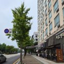 병원진료비_1키오스크 | [임신 10주] 10주 5일 일산병원 니프티(NIPT) 예약 방법, 비용, 진료 및 검사 후기