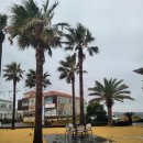 표선생각 | 제주 에메랄드빛 오션뷰 카페 표선하다 솔직후기