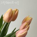 성남동 4128(모란시장사거리) | 성남동꽃집 그린웨이브가든 가격 위치 영업시간