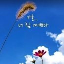 지금광안리 이미지