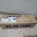 나니몰3 | 안산 꽃집 유스풀몰-생화 꽃다발(소형3다발) 솔직 후기