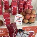 기프트 펫 | 성수) 서성서성 성수마켓 후기_무료 기프트 증정행사도 있어요!