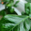 다시농장 이미지