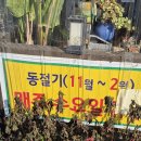 복수온면막국수