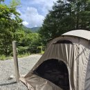 폭스그라운드 | 코베아 와일드 폭스트롯 II 거실형 텐트 신상 텐트 구매후기