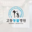 고등동물병원 | 성남 고등동 동물병원 고등동물병원 위치 오는길 후기
