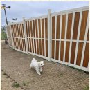 행복한아이유치원 이미지