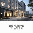 에쉬튼(ASHTON) 호텔 | 울산 중심에서 만난 여유, 에쉬튼호텔 1박 솔직 후기