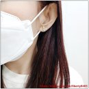 다사팜 이미지