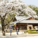 해피플랫폼주