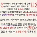 스케치온유 이미지