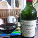 Trapiche Single Vineyard Malbec 2007 이미지