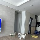 보바보바 네이버블로그