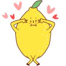 에스비에스(202) 이미지