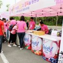 레이디 Daum카페