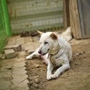 금골농장 이미지