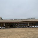 개들랜드 이미지