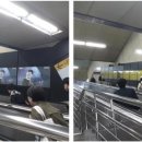 문화 비상-6호 이미지