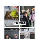 2025.1월셋째주 나의일기 feat.경기박물관-겨울방학 체험 프로그램 &lt;2025년 소원을 말해봐&gt;후기