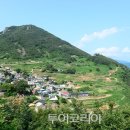 가천상회