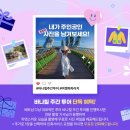 위도빌리지2 | 다낭 바나힐 투어 가격 시간 날씨 다낭 자유여행 코스