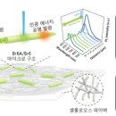 기인메디칼 이미지