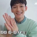 손차이 이미지