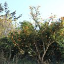 유장농장 이미지